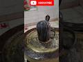मन्दिर में हुआ अद्भुत चमत्कार#bijnorsnakesaver #viral #tamplesnake