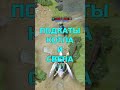 ПОДКАТЫ КОТЛА И СВЕНА #dota #dota2 #дота #дота2приколы #дотамемы #дота2мемы