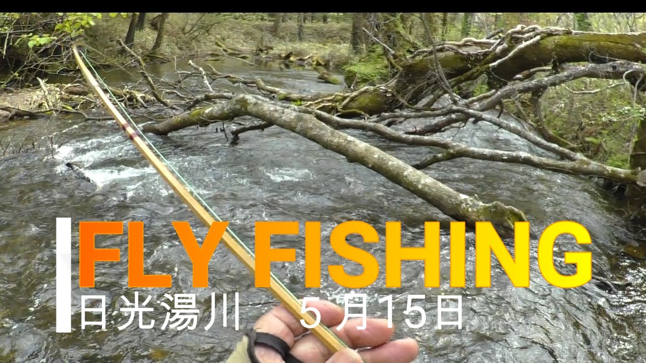 日光湯川 5月15日 フライフィッシング - YouTube