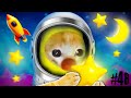 Banana cat space adventure  happy cat funny cartoon