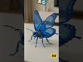 This Butterfly Gadget Feels Like It’s From The Future 😱🦋