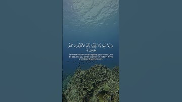 آية من سورة آل عمران تريح القلب | تلاوة خاشعة