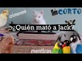 ¿Quién mató a Jack?- Historia de un conecidio