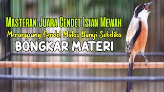 MASTERAN CENDET JUARA FULL TEMBAKAN MATERI MEWAH COCOK BUAT PANCINGAN CENDET PASTOL