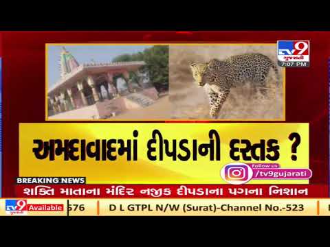 Ahmedabad: Locallites panic as leopard spotted near Shakti Mata Mandir in Vastral| TV9News