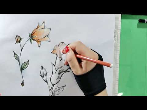Video: Come Disegnare Un Fiore A Campana Bell