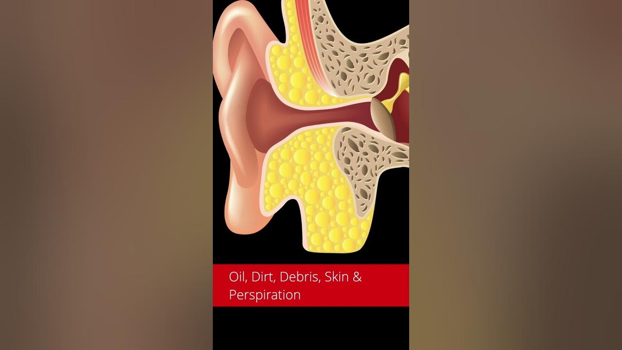 WHERE DOES EAR WAX COME FROM? shorts YouTube