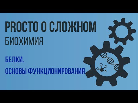 PROСТО О СЛОЖНОМ. Белки, основы функционирования. Биохимия №2