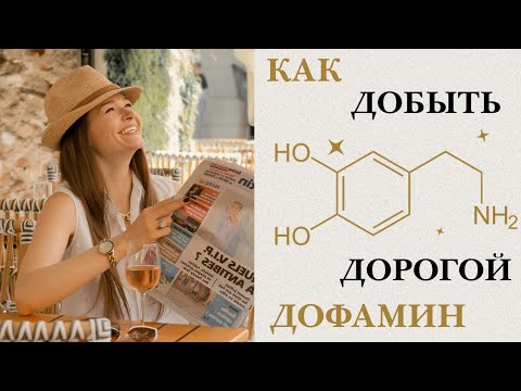 Дорогой и дешёвый Дофамин: понимает ли Мозг разницу?