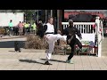 Kung Fu Demonstration with Derrick at International Tai Chi Day in the Villages, Florida 21 Mar 2026