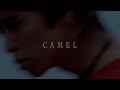 PEARL CENTER - CAMEL(Official Visualizer)