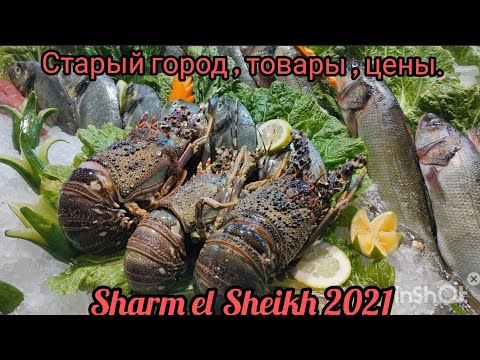 Video: Sharm El Sheikh Iko Wapi