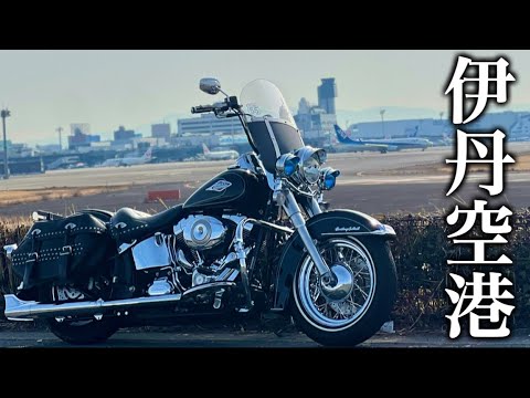 【 ハーレー 映えスポット 】『柵がない⁉︎』インスタで反響だった 伊丹空港 の撮影スポット！