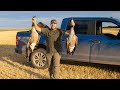 North Dakota Early Season Goose Hunt