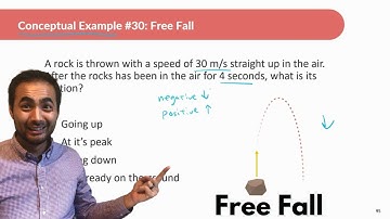 1-D Kinematics | Conceptual Physics | Free Fall
