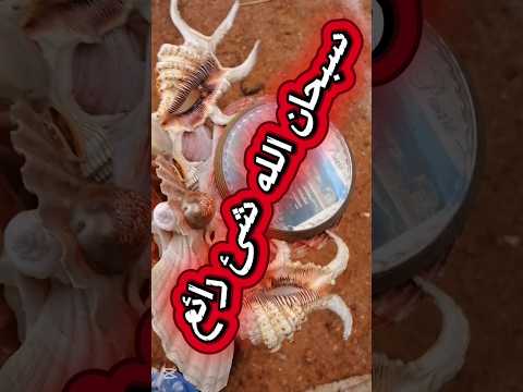 تشاهد شيء رائع سبحان الله اكسبلور       