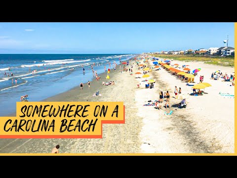 Places to visit in South Carolina | James Island County Park & Myrtle Beach State Park