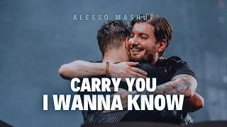 Carry You Vs I Wanna Know martin Garrix B2b Alesso Umf Miami 2026 Mashup renzed Remake