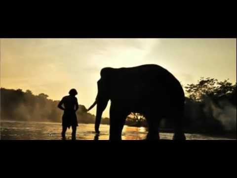 Soi Soi - Full Song - Kumki - English Translation