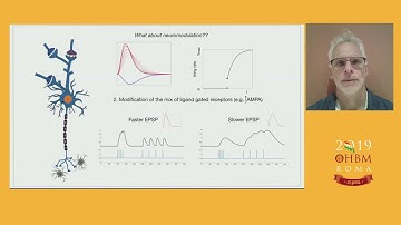 OHBM 2019 | Symposium | Sculpting Large - scale Brain Dynamics Through Neuromodulation