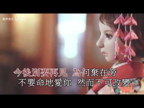 詹天文《愛情許可證》 HD1080P 高清KTV歌曲