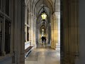 😍 Vienna è un vero museo... #backpacker #travelvlog #shorts