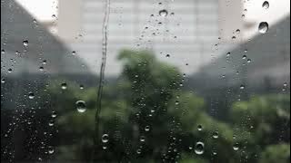 Background Video Hujan Jendela