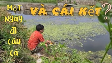 [26] CÂU CÁ Ở SÔNG HÀN Và Cái Kết....