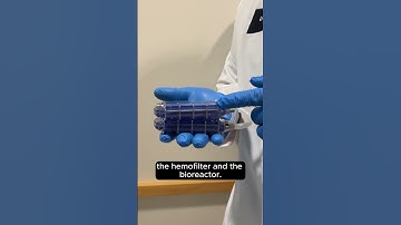 Bioartificial kidney 🤯 #ai #artificialintelligence