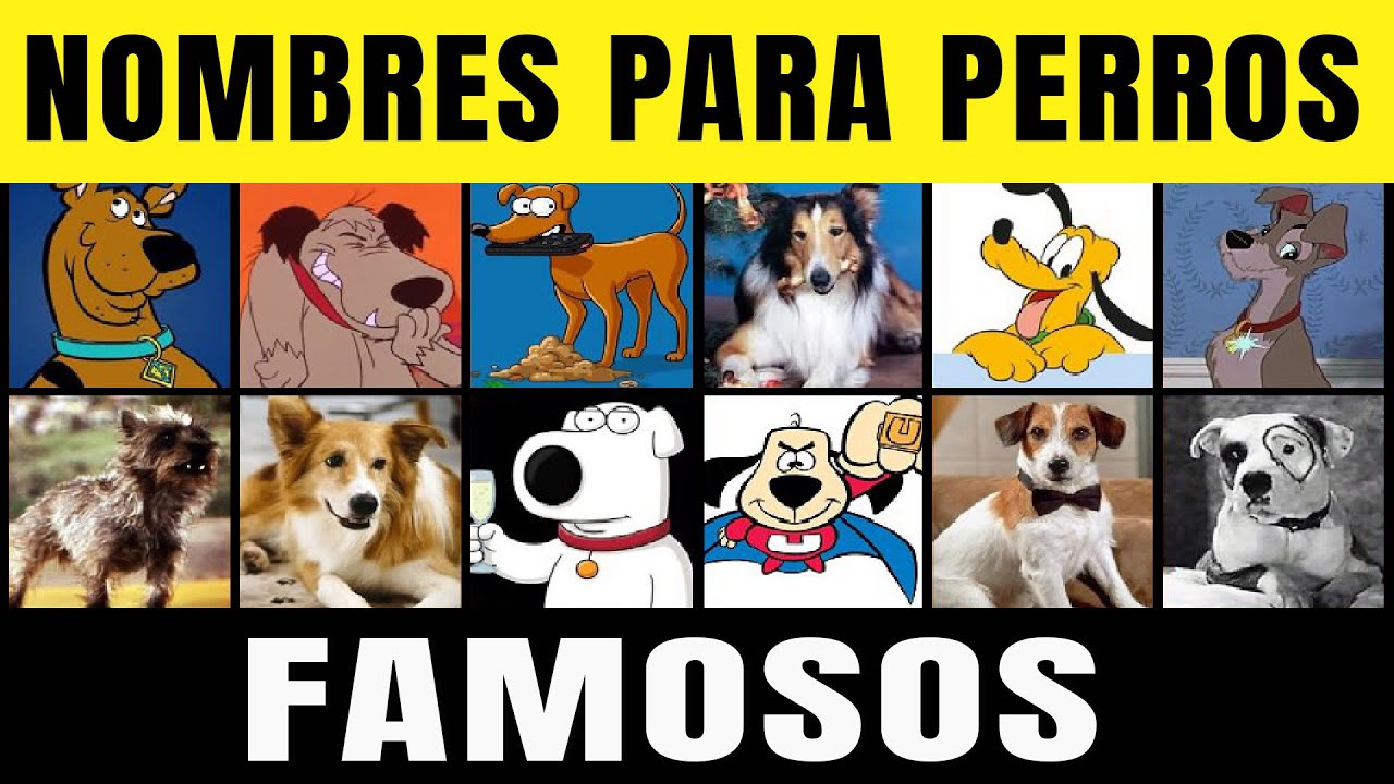 🥇 Nombres de Perros Famosos ( Increibles Nombres Para tu Mascota )🐕 ...