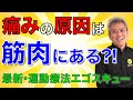 【エゴスキューってなに？】アメリカの最新・運動療法エゴスキュー・メソッド！痛みの本当の原因は筋肉にある？！