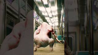 Twurkey took a little break but we are back #dance #Twurkey #subway
My original Twurkey is back to bring joy to all those on mass transit. Happy day yall! Twurkey took a little break but we are back #dance #Twurkey #subway
