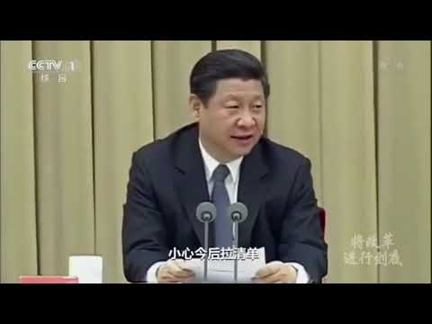 乳包片段 敬请采用