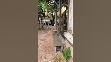 Quán cafe đá bào - Videos Nhật Ký #shorts #kyniem #SG