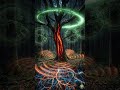 Trees Talk to Each Other — And Share Food  #nature #life #shorts