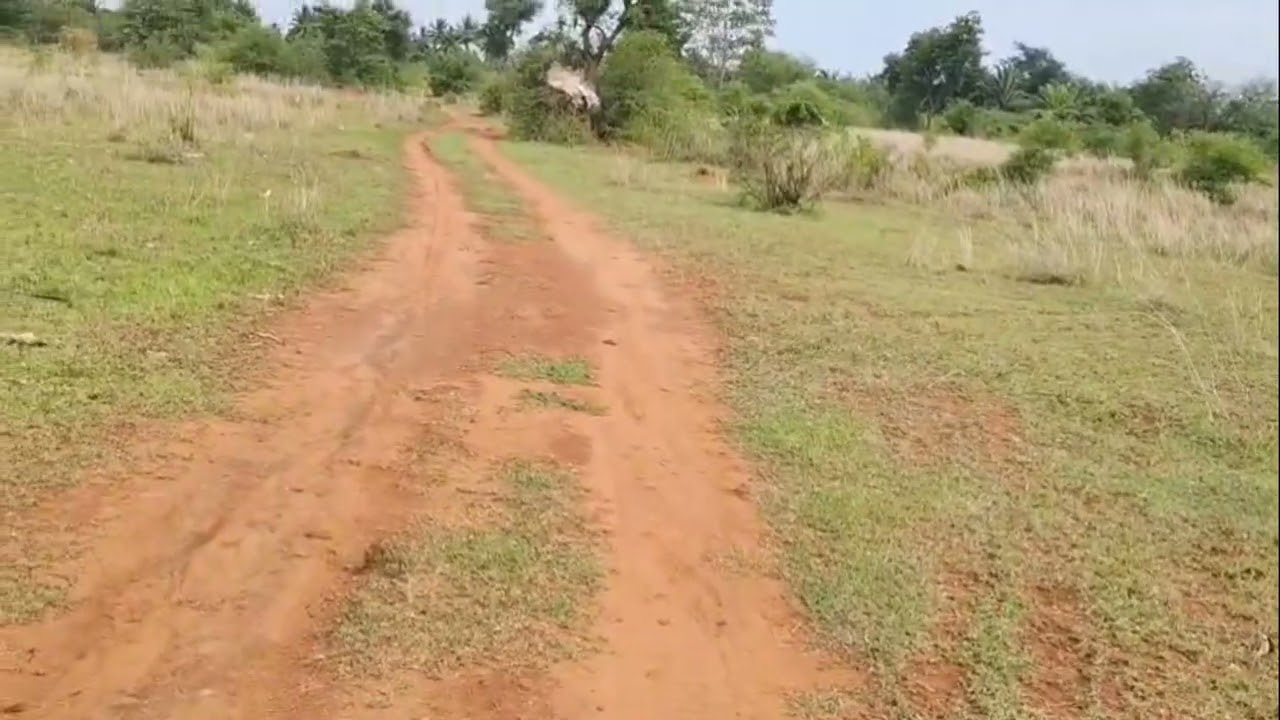 (PK140) 5 Acres Near HANUR TALUK for sale | udupa 9901323456