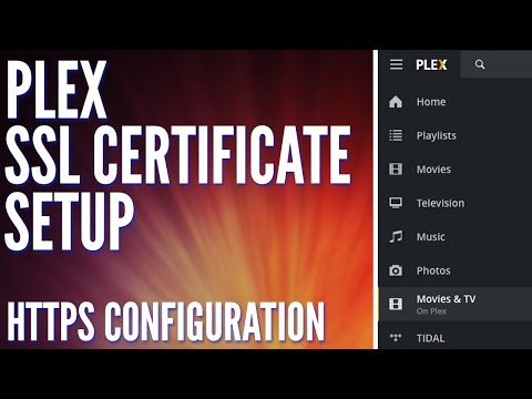How to Setup an SSL Certificate for Plex using Nginx Proxy Manager
