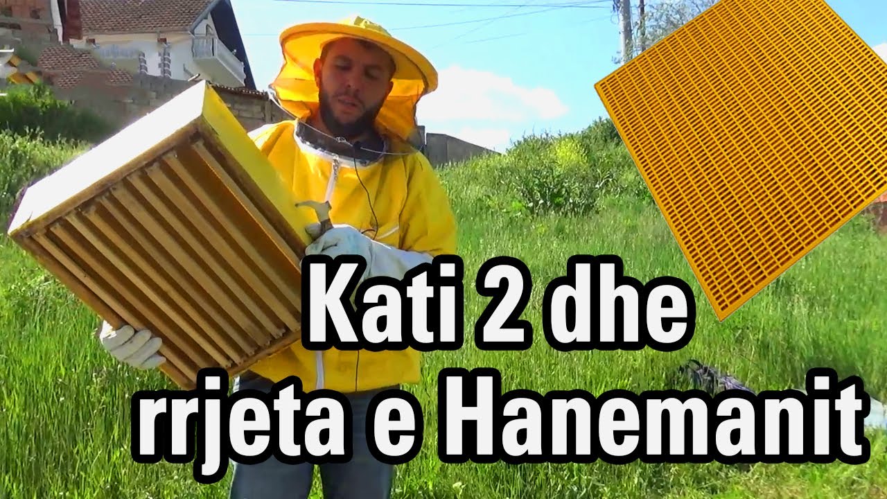 🔴Episodi 14: Vendosja e depos dhe rrjeta e Hanemanit [Bletaria Shqip]