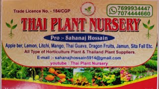 Planting a small forest in 24 hours (1440 trees) What’s wrong with planting new forests?