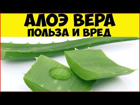 Video: Medicinske Egenskaber Af Aloe
