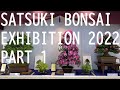 Satsuki azalea bonsai exhibition 2022  part 1