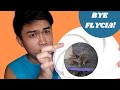 Electric Fly Trap Unboxing Lazada