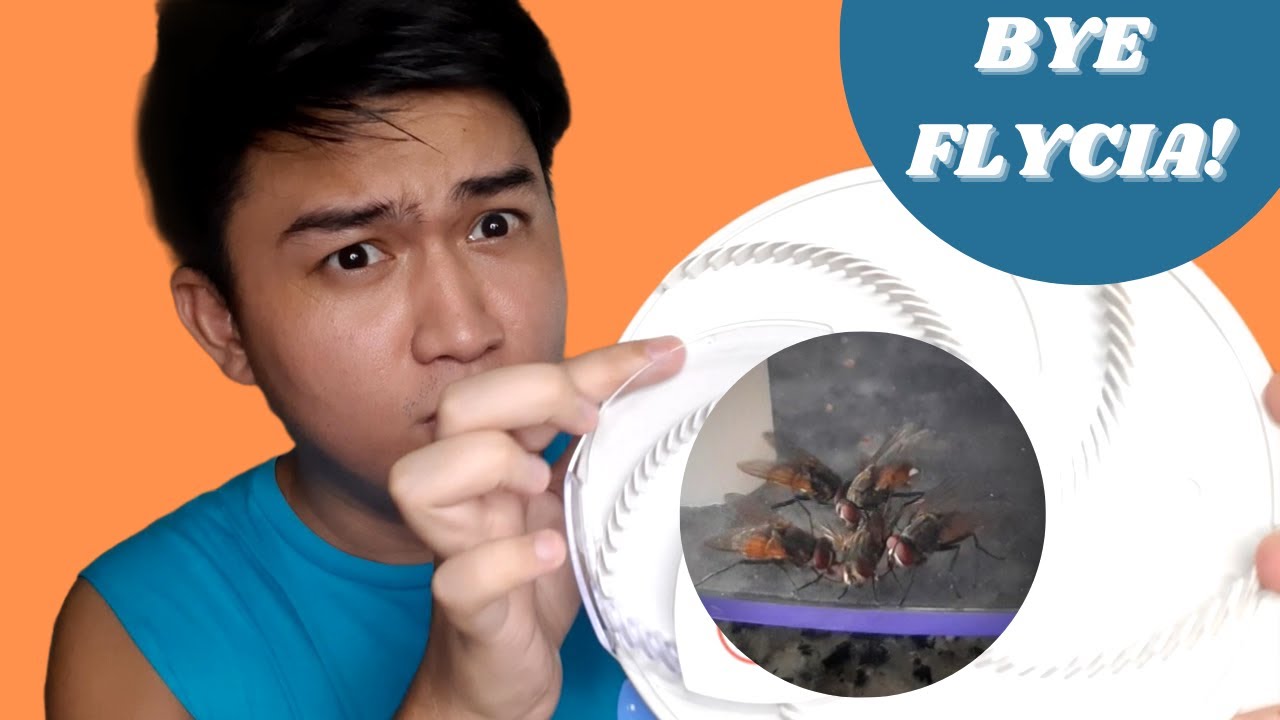 Electric Fly Trap Unboxing Lazada YouTube