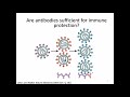 Immunology Fall 2021: Lecture 15 T Cells and MHC