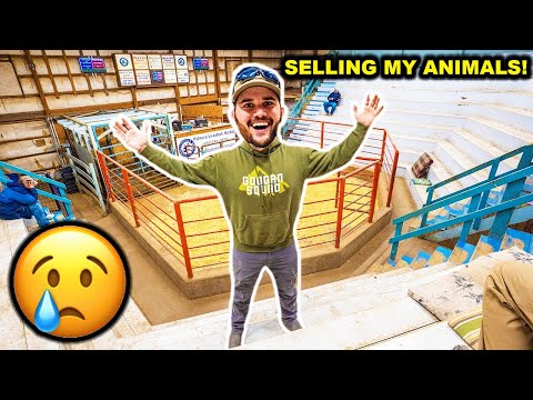 SELLING My BACKYARD FARM Animals at the AUCTION!!! (Emotional)