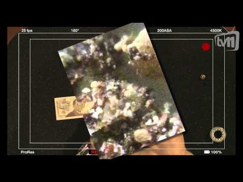 დავით ლაბაძის ოქროს ხელები 2სეზ - 02