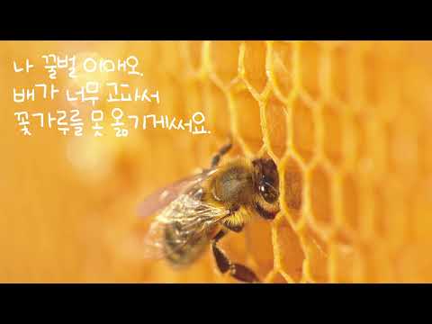 [한화그룹 광고] 꿀벌을 살리는 꽃한끼