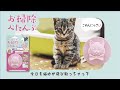 ネコちゃん　の飛び散った猫砂を楽しく集める "お掃除ペタンプ"