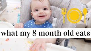 WHAT MY 8 MONTH OLD EATS IN A DAY | EASY BABY LED WEANING IDEAS