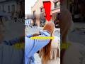 Penteado de RUA. #shorts #curiosidades #viral